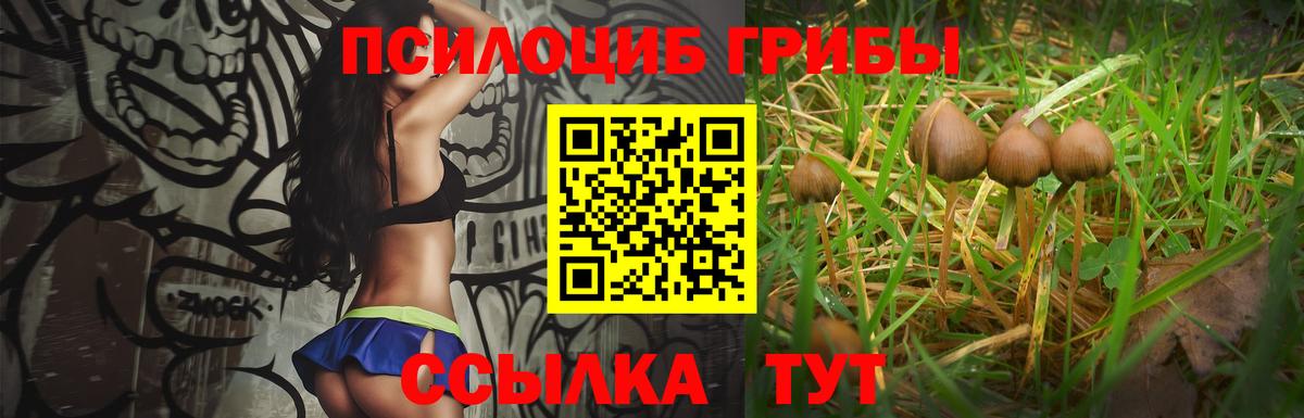 Галлюциногенные грибы MAGIC MUSHROOMS Чистополь