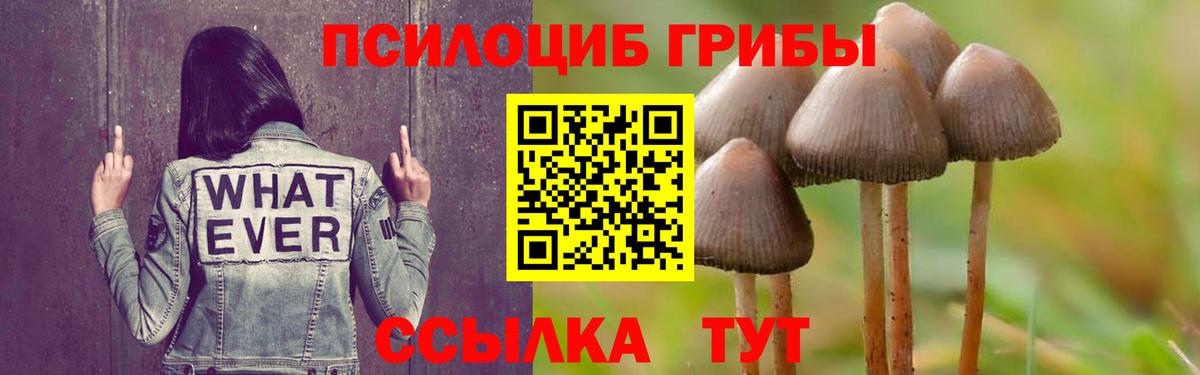 Чистополь  Галлюциногенные грибы Magic Shrooms  Вход с VPN 